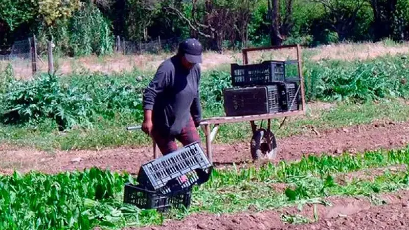 Trabajador explotado