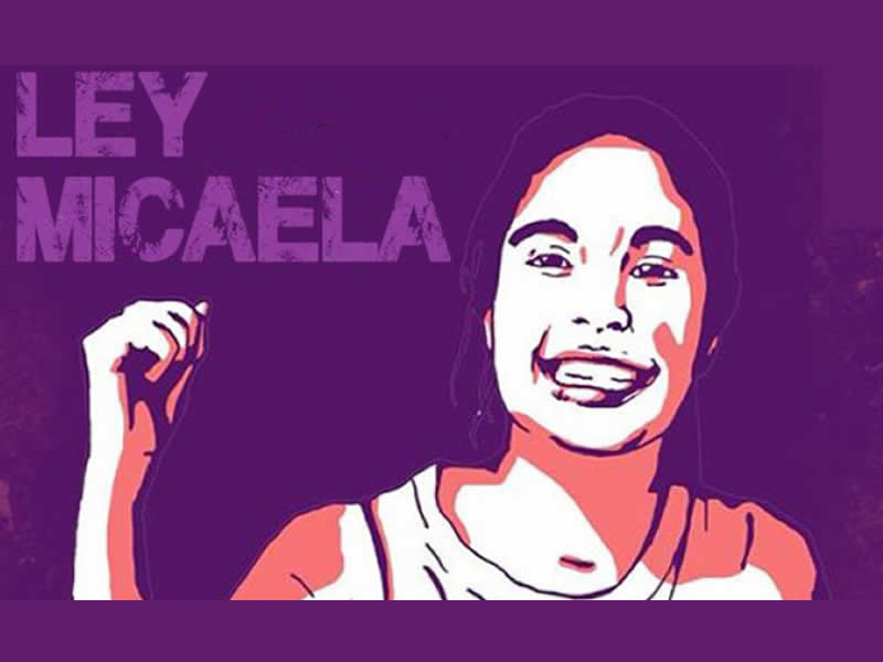 Ley Micaela