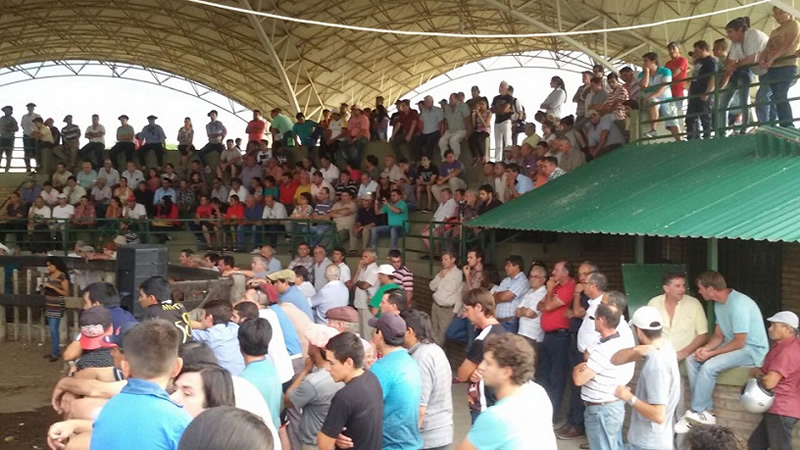 Cruz del EjeI bosques nativos