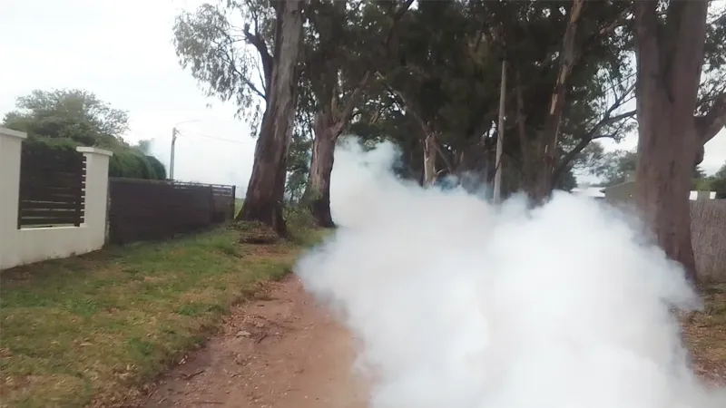 Fumigación en Sinsacate