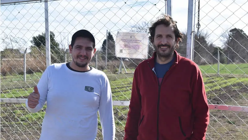Plantación de cáñamo