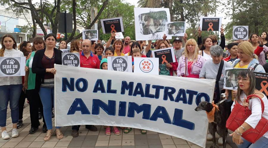 Manifestacion contra el maltrato animal diario