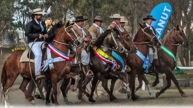 Caballos Peruanos de Paso