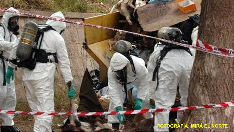 Matanza de perros en Deán Funes