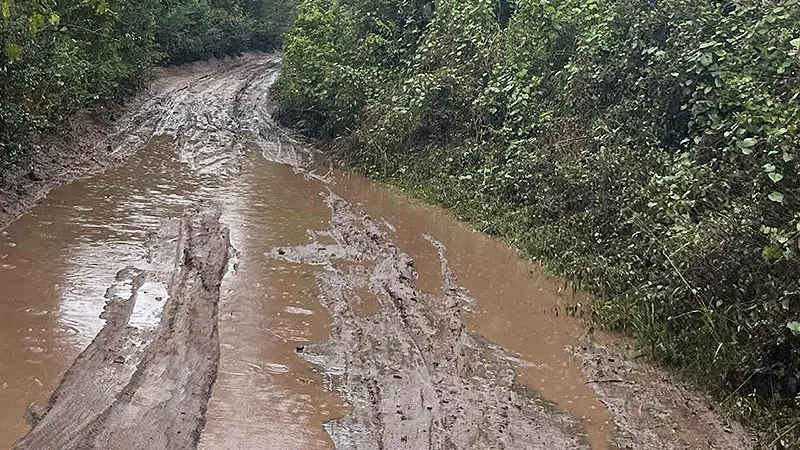 Camino a Santa Catlian