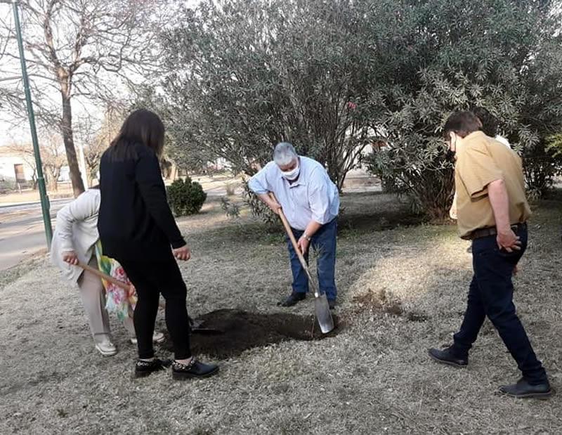 Molina planta un árbol