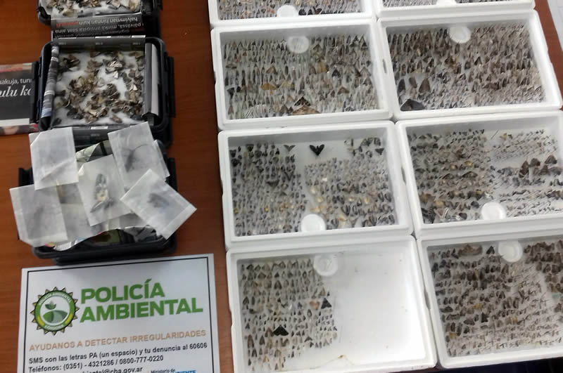 Secuestro de insectos y semillas
