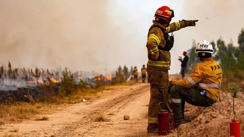 Incendio forestal