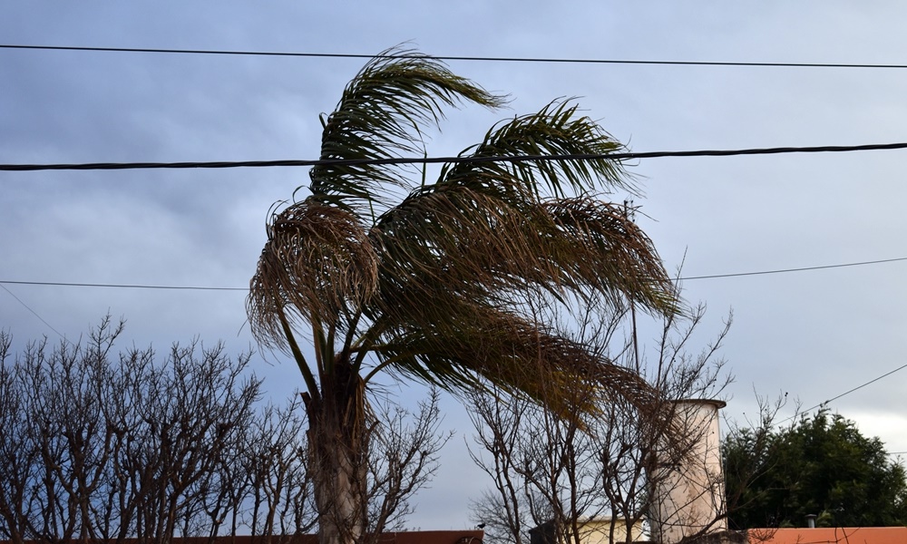 viento sur