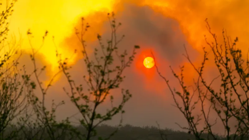 Incendio en Tutlumba