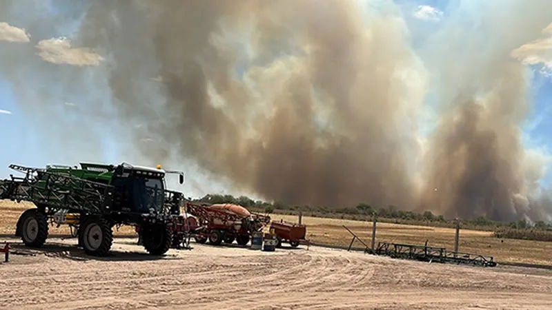 Incendio en Sinsacate