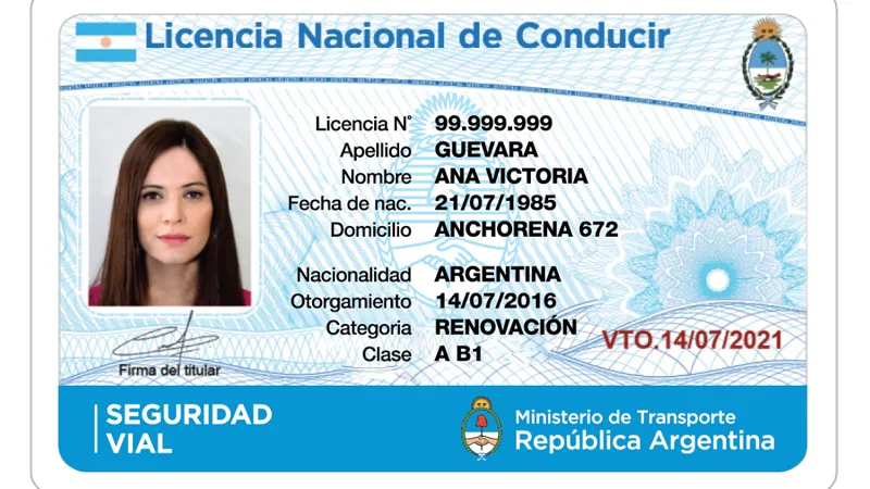 Licencia de Conducir 