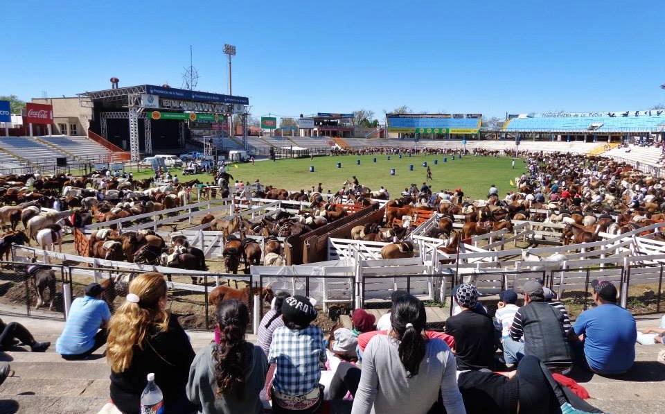 destrezas gauchas 3 es