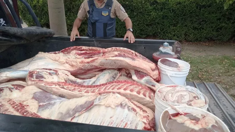 Carne decomisada