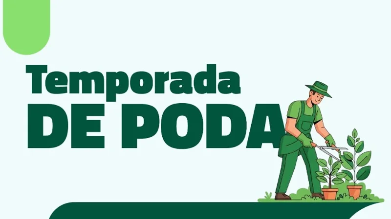 Temporada de poda