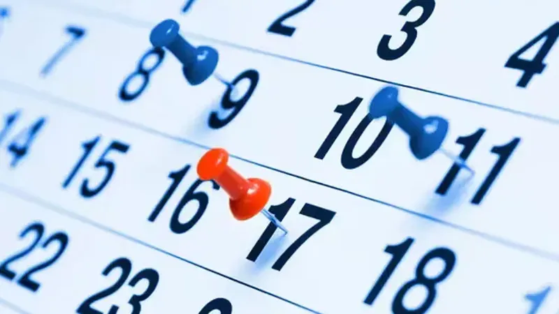 Vacaciones de julio 2024