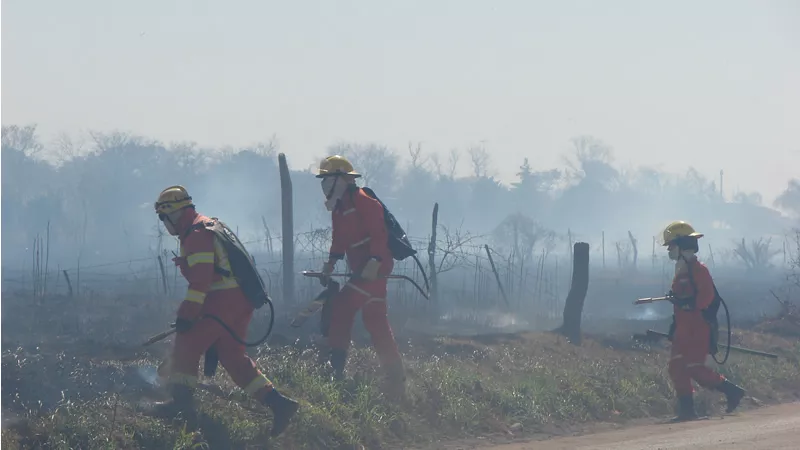 Incendio de campos