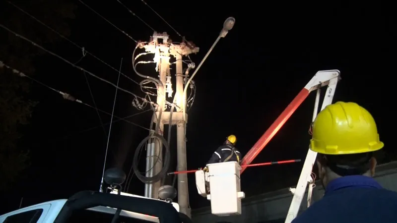 Cooperativa trabajando