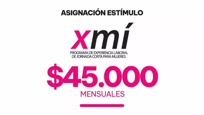 Programa XMí