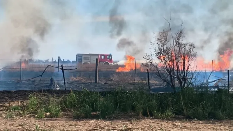Incendio forestal