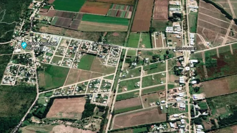 Aerea de Sisnsacate