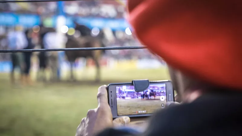 Festival por streaming