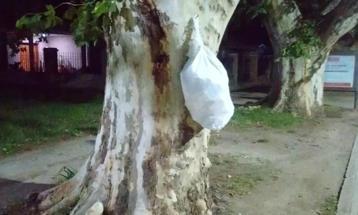 WhatsApp Image 2020-01-02 at 10.26.42