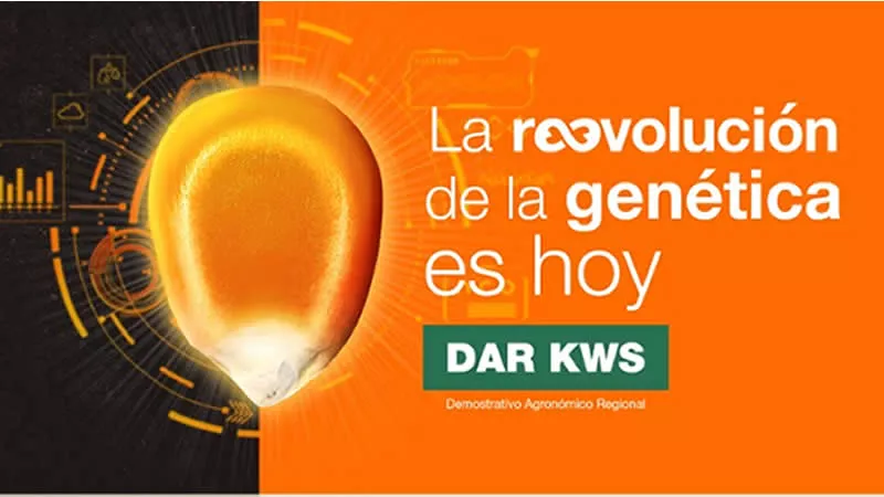 DAR KWS