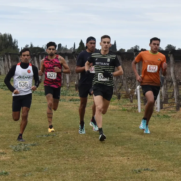 Maraton2024