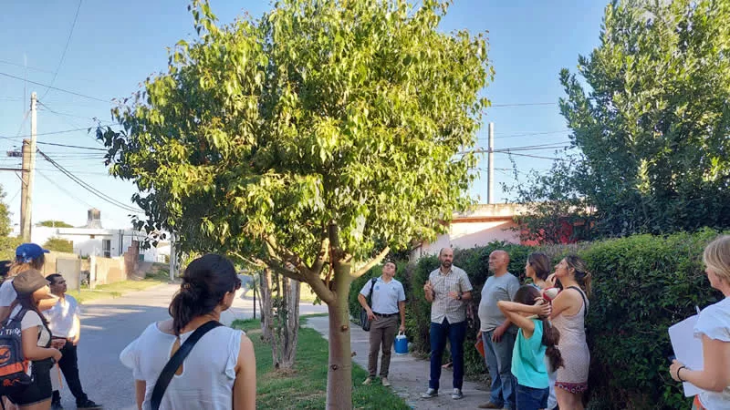 Relevamiento de arbolado