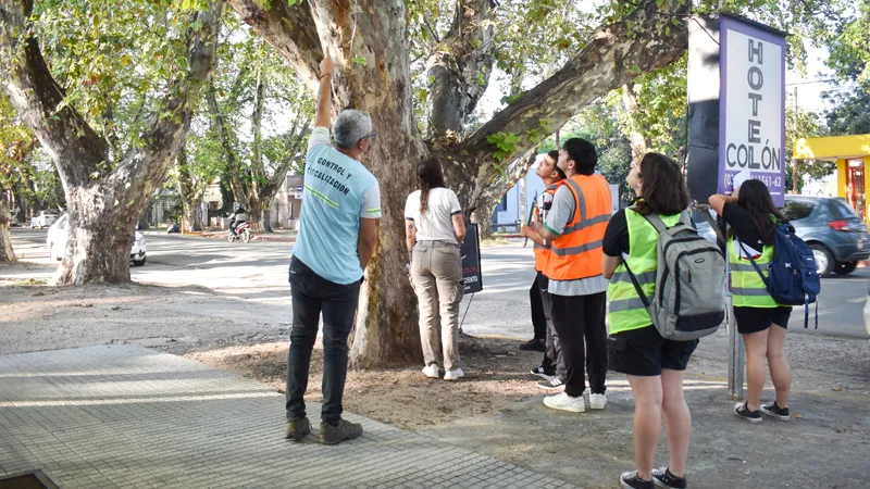Poda y capacitación CC