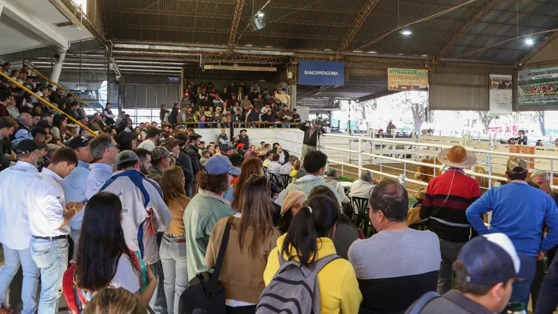 Remate Expo Rural