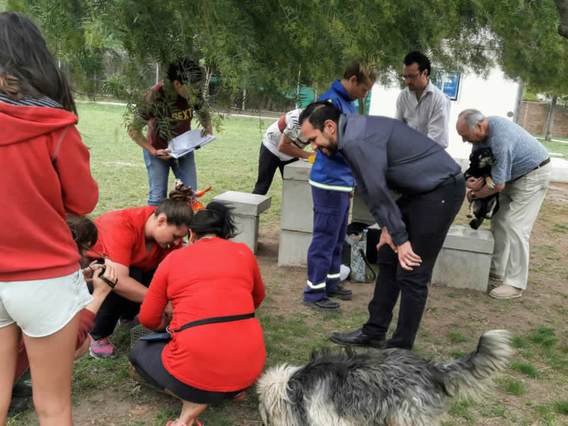 Vacunación antirrábica CC 2