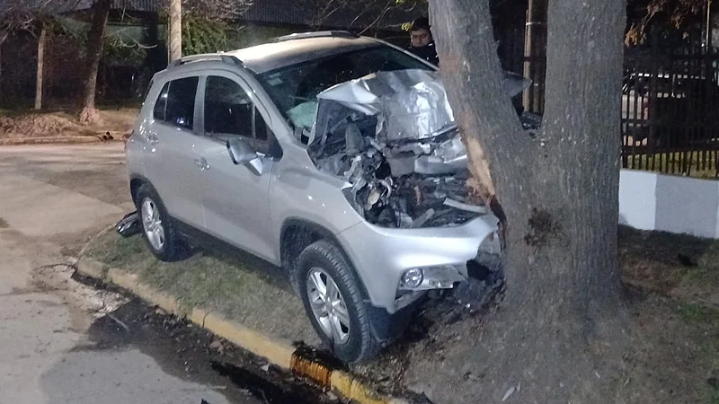 Tracker contra un árbol