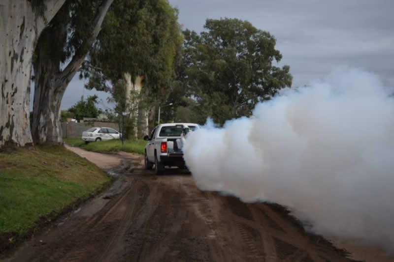 Fumigación por dengue 4