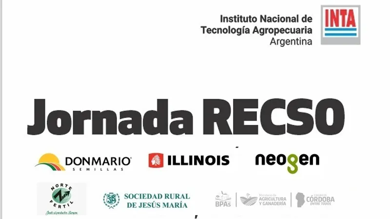 Jornada RECSO