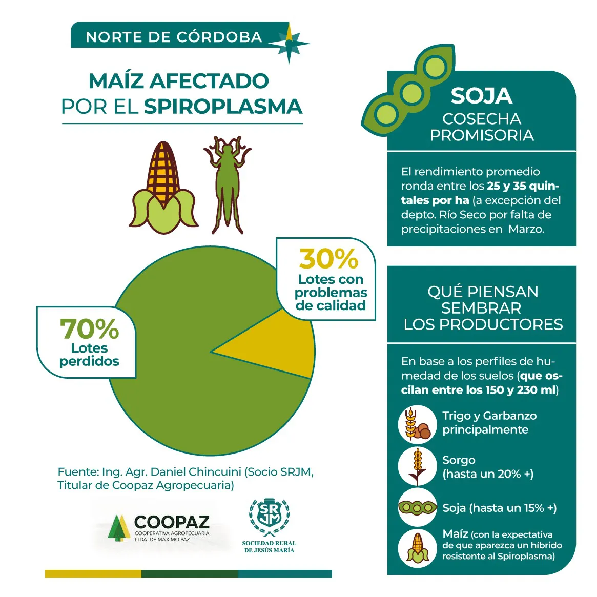 WhatsApp Image 2024-05-08 at 10.37.24