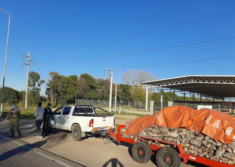 Decomiso de leña en Sinsacate