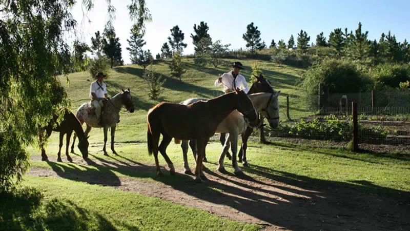 Turismo Rural