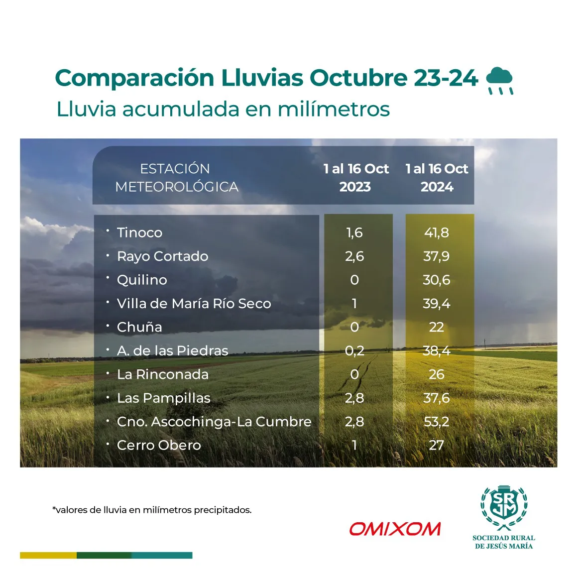 WhatsApp Image 2024-10-17 at 19.37.56