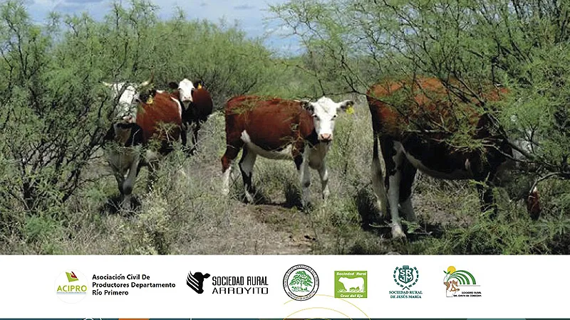 Ordenamiento Territorial