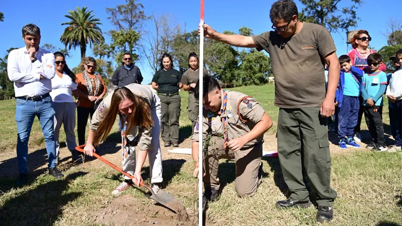 Bosque de bolsillo JM