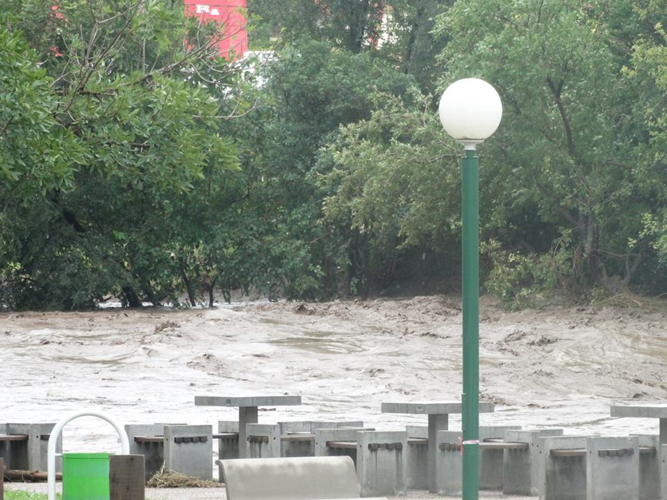 11043024_803077846424225_952107119149098794_n