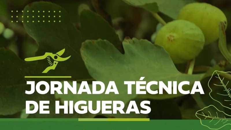 Jornada Técnica de Higueras