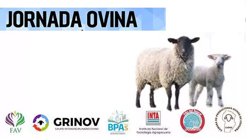 Jornada Ovina