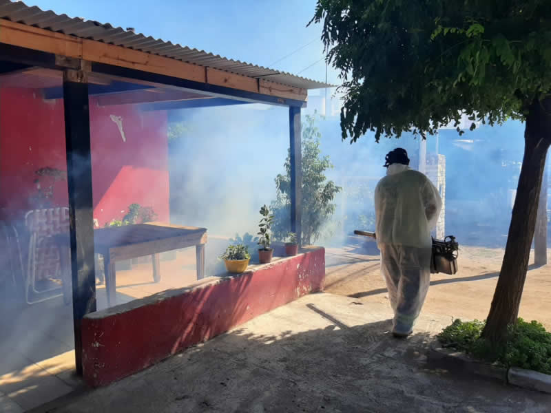 Fumigación por dengue
