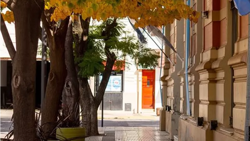 Municipalidad JM