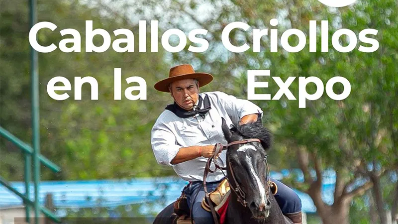 Caballos Criollos en la Expo