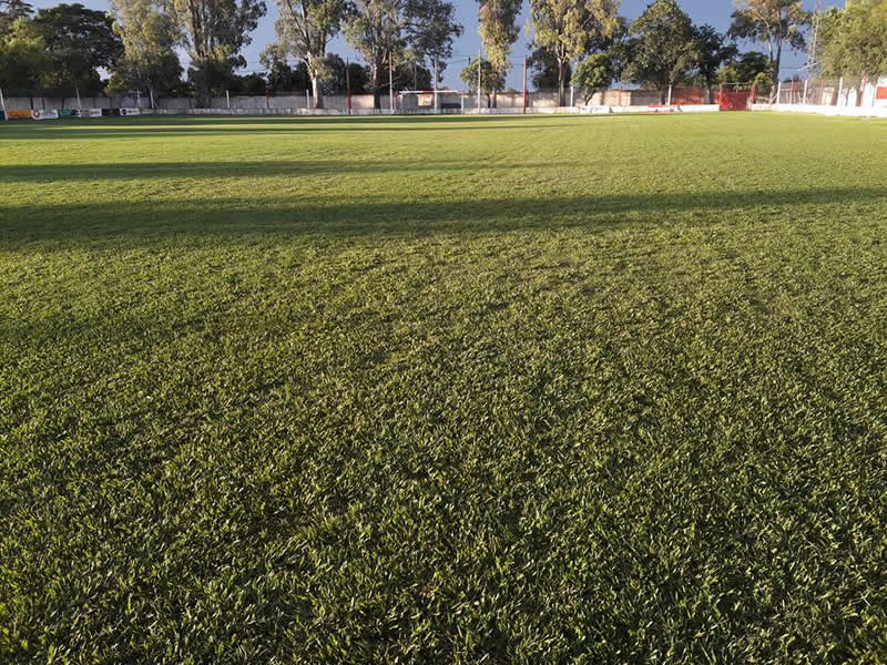 Tirolesa cancha
