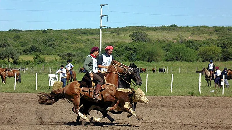 Caballos criollos SRJM